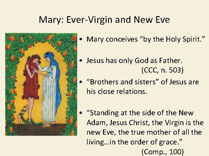 Mary: Ever-Virgin and New Eve • Mary conceives “by the Holy Spirit. ” •