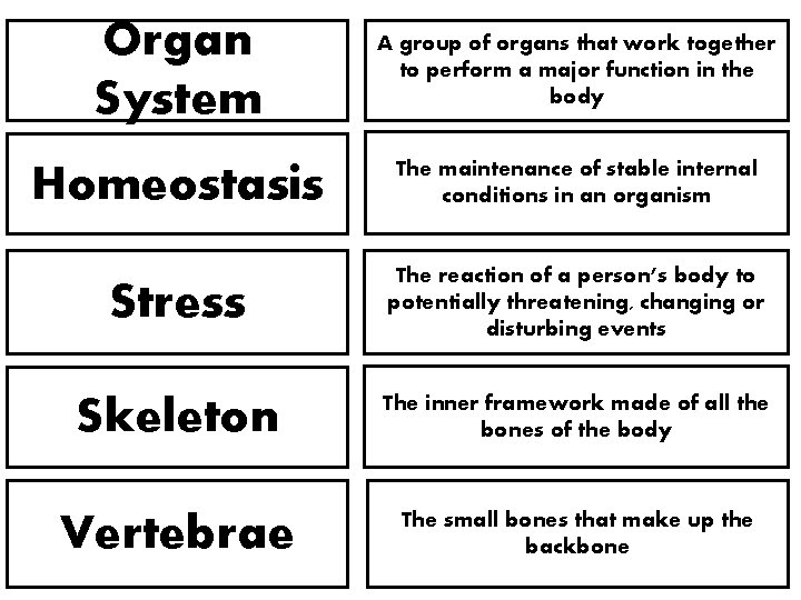 Organ System A group of organs that work together to perform a major function Organ System A group of organs that work together to perform a major function