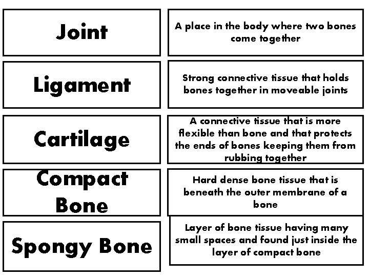 Joint A place in the body where two bones come together Ligament Strong connective Joint A place in the body where two bones come together Ligament Strong connective