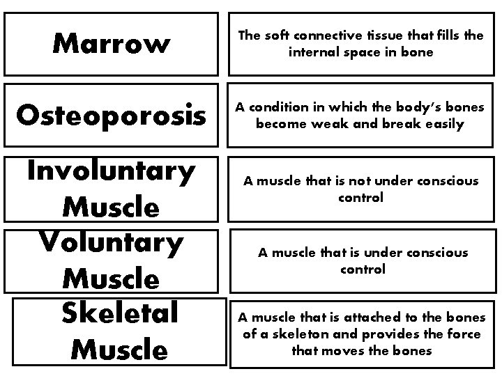 Marrow The soft connective tissue that fills the internal space in bone Osteoporosis A Marrow The soft connective tissue that fills the internal space in bone Osteoporosis A