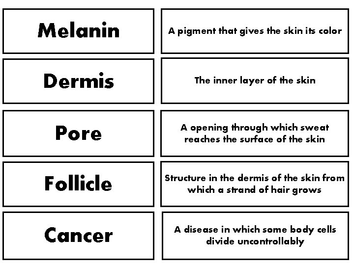 Melanin A pigment that gives the skin its color Dermis The inner layer of Melanin A pigment that gives the skin its color Dermis The inner layer of