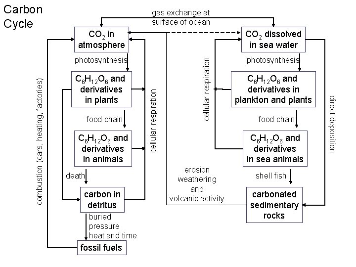 gas exchange at surface of ocean photosynthesis C 6 H 12 O 6 and