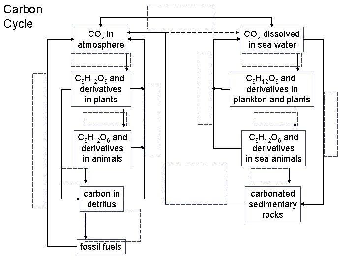 gas exchange at surface of ocean photosynthesis C 6 H 12 O 6 and