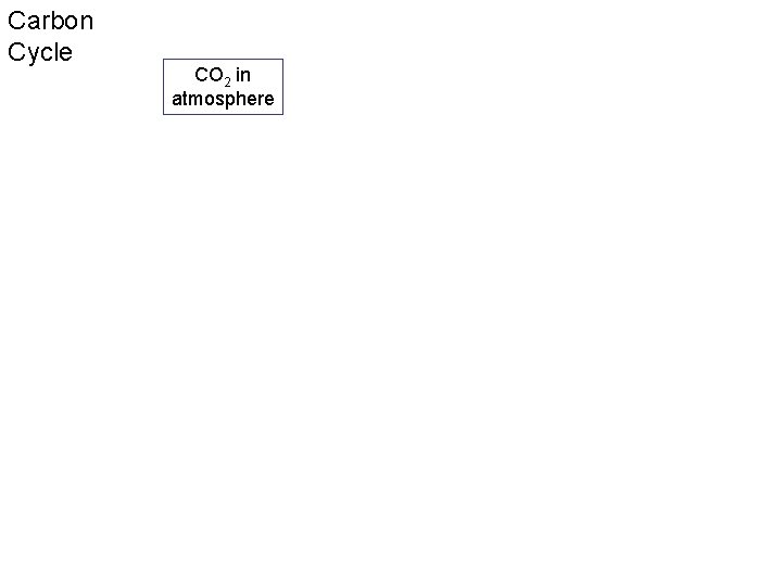 Carbon Cycle CO 2 in atmosphere 