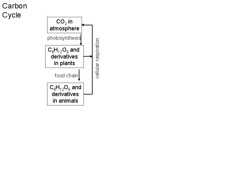 CO 2 in atmosphere photosynthesis C 6 H 12 O 6 and derivatives in