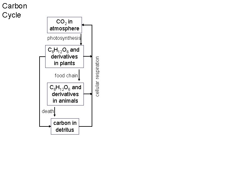 CO 2 in atmosphere photosynthesis C 6 H 12 O 6 and derivatives in