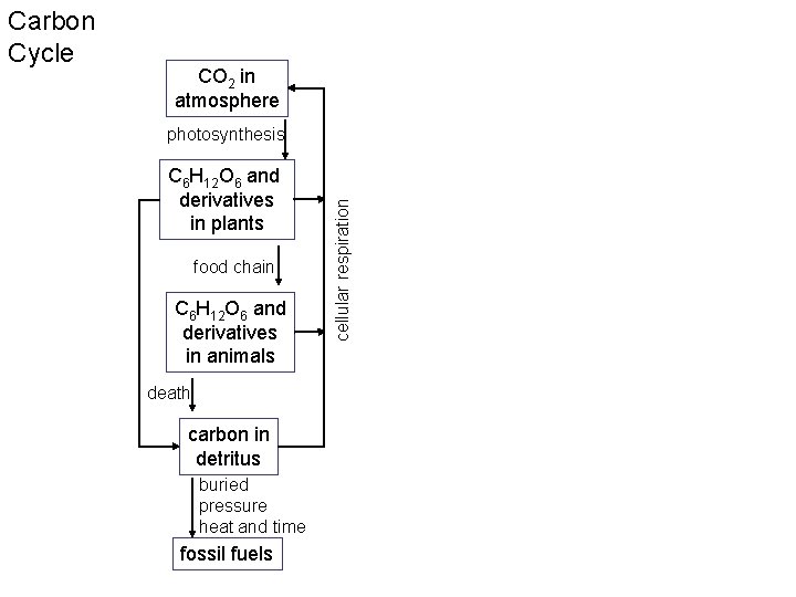 CO 2 in atmosphere photosynthesis C 6 H 12 O 6 and derivatives in