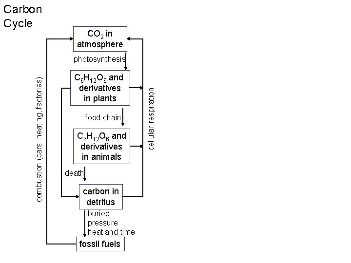 Carbon Cycle CO 2 in atmosphere C 6 H 12 O 6 and derivatives