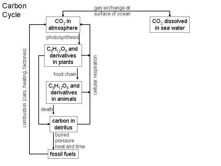 Carbon Cycle gas exchange at surface of ocean CO 2 in atmosphere CO 2