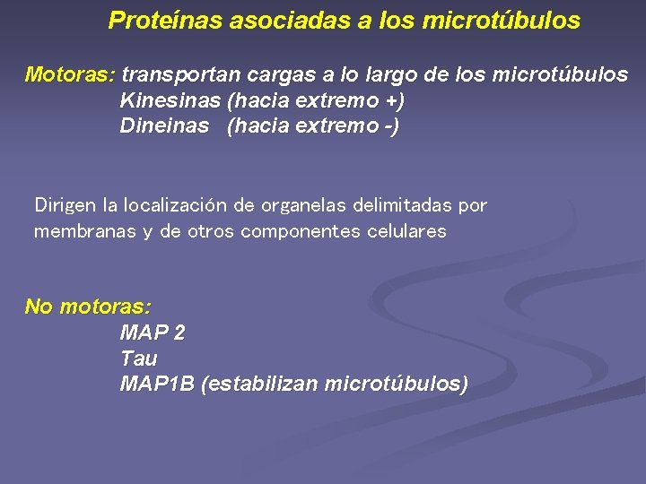 Proteínas asociadas a los microtúbulos Motoras: transportan cargas a lo largo de los microtúbulos