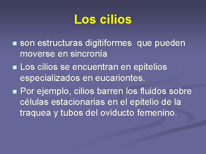 Los cilios son estructuras digitiformes que pueden moverse en sincronía n Los cilios se