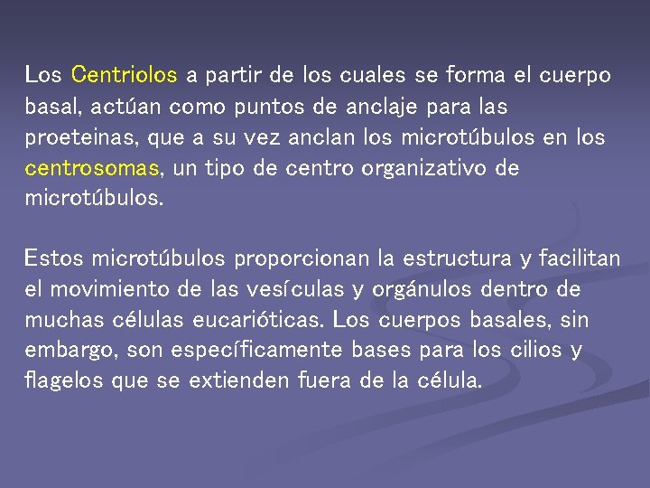 Los Centriolos a partir de los cuales se forma el cuerpo basal, actúan como