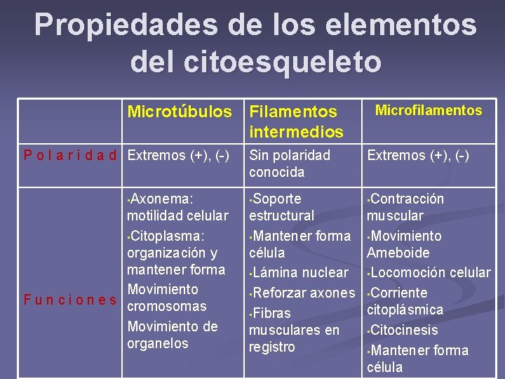 Propiedades de los elementos del citoesqueleto Microtúbulos Filamentos intermedios P o l a r