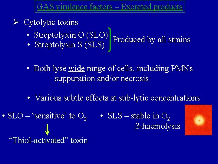 GAS virulence factors – Excreted products Ø Cytolytic toxins • Streptolyxin O (SLO) Produced