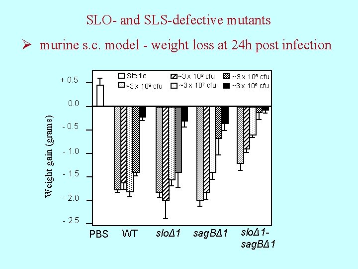 SLO- and SLS-defective mutants Ø murine s. c. model - weight loss at 24
