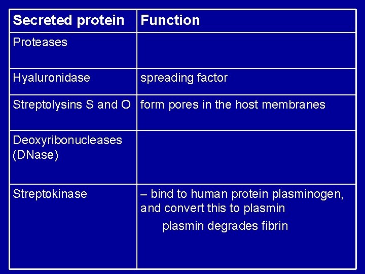 Secreted protein Function Proteases Hyaluronidase spreading factor Streptolysins S and O form pores in