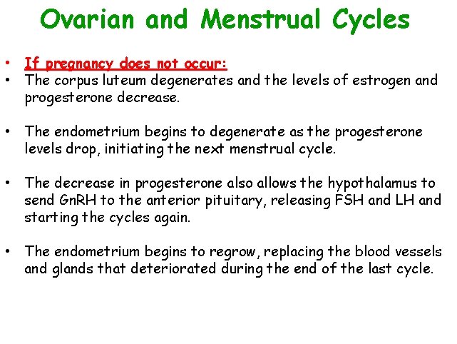 Ovarian and Menstrual Cycles • If pregnancy does not occur: • The corpus luteum