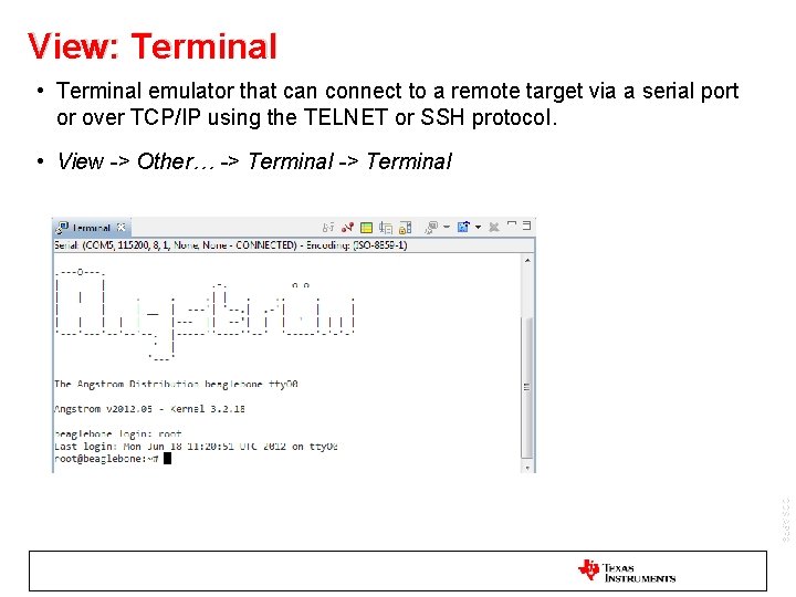 View: Terminal • Terminal emulator that can connect to a remote target via a