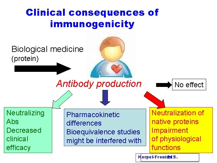 Clinical consequences of immunogenicity Biological medicine (protein) Neutralizing Abs Decreased clinical efficacy Antibody production