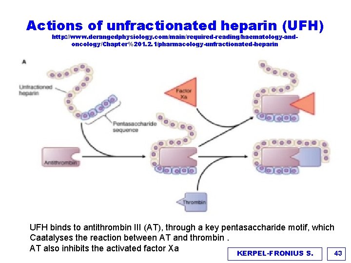 Actions of unfractionated heparin (UFH) http: //www. derangedphysiology. com/main/required-reading/haematology-andoncology/Chapter%201. 2. 1/pharmacology-unfractionated-heparin UFH binds to