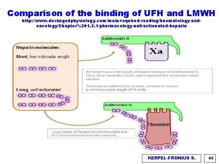 Comparison of the binding of UFH and LMWH http: //www. derangedphysiology. com/main/required-reading/haematology-andoncology/Chapter%201. 2. 1/pharmacology-unfractionated-heparin