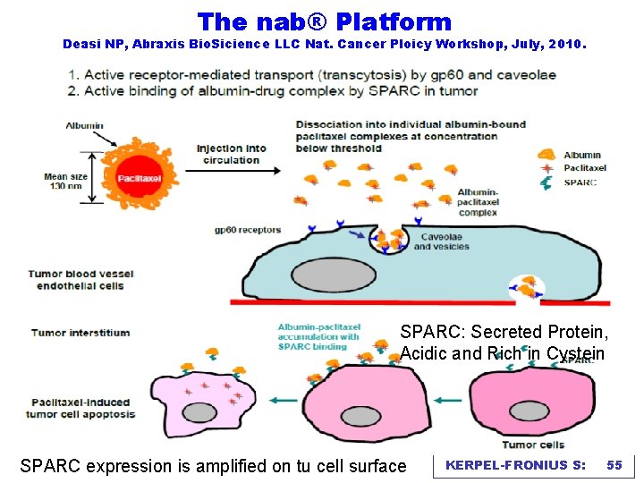 The nab® Platform Deasi NP, Abraxis Bio. Sicience LLC Nat. Cancer Ploicy Workshop, July,