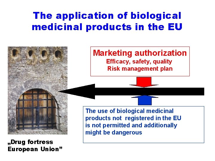 The application of biological medicinal products in the EU Marketing authorization Efficacy, safety, quality