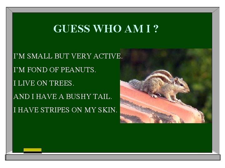 GUESS WHO AM I ? I’M SMALL BUT VERY ACTIVE. I’M FOND OF PEANUTS.