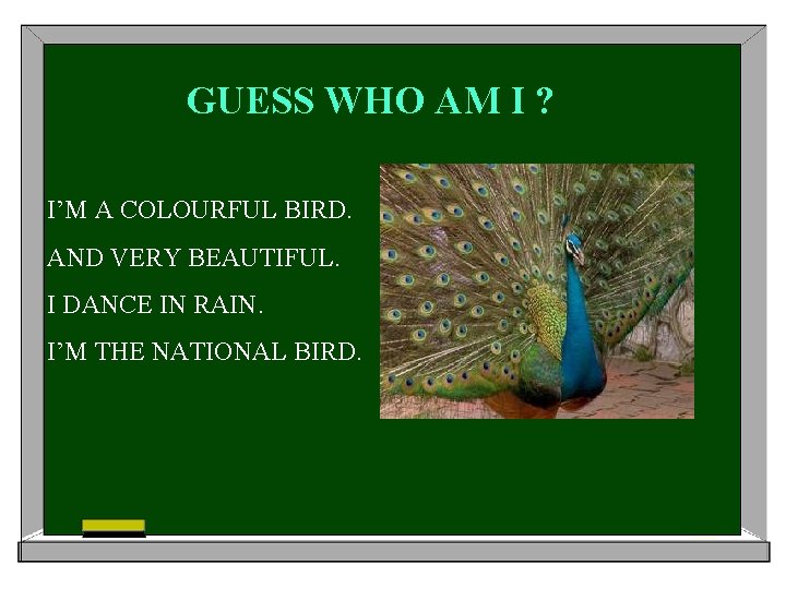 GUESS WHO AM I ? I’M A COLOURFUL BIRD. AND VERY BEAUTIFUL. I DANCE