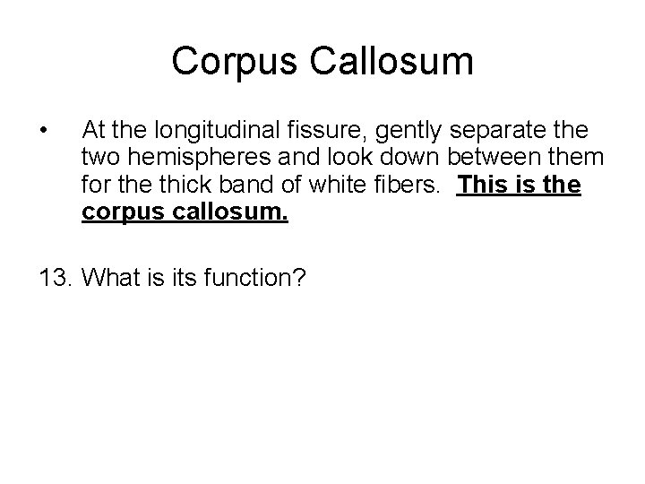 Corpus Callosum • At the longitudinal fissure, gently separate the two hemispheres and look