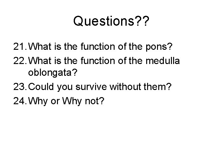 Questions? ? 21. What is the function of the pons? 22. What is the