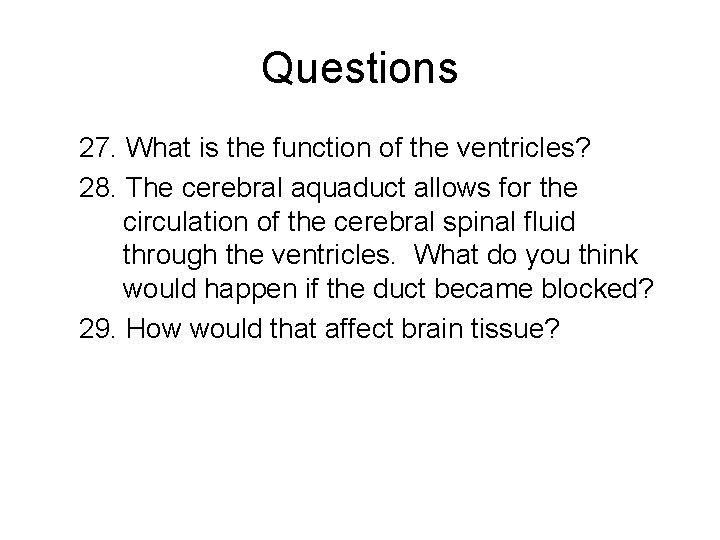 Questions 27. What is the function of the ventricles? 28. The cerebral aquaduct allows