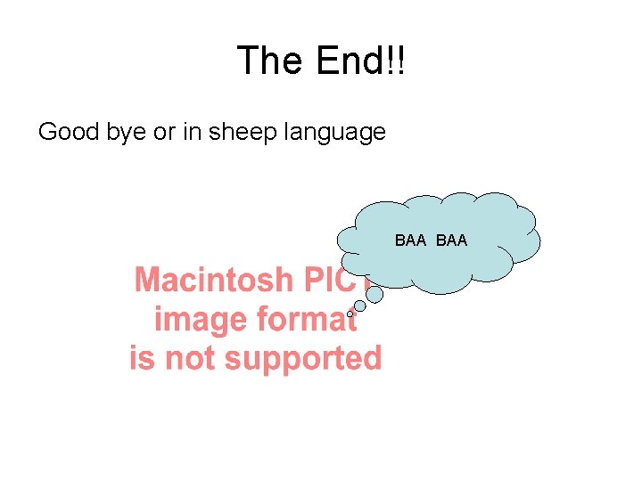 The End!! Good bye or in sheep language BAA 