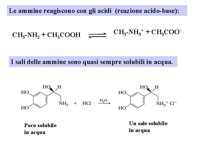 Le ammine reagiscono con gli acidi (reazione acido-base): CH 3 -NH 2 + CH