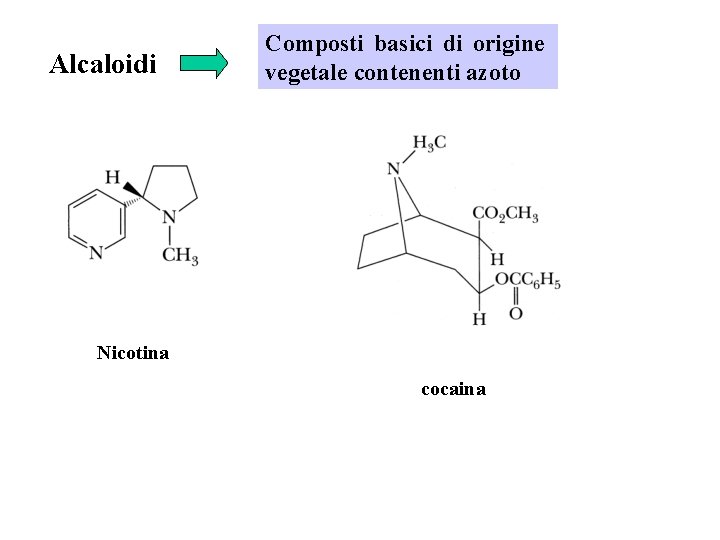 Alcaloidi Composti basici di origine vegetale contenenti azoto Nicotina cocaina 
