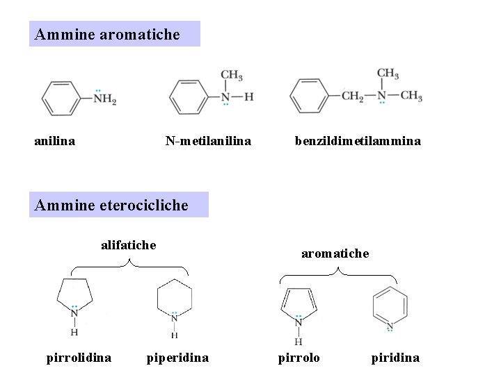 Ammine aromatiche anilina N-metilanilina benzildimetilammina Ammine eterocicliche alifatiche pirrolidina piperidina aromatiche pirrolo piridina 