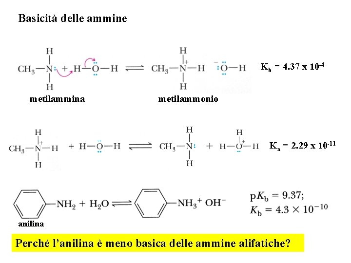 Basicità delle ammine Kb = 4. 37 x 10 -4 metilammina metilammonio Ka =