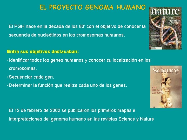 EL PROYECTO GENOMA HUMANO El PGH nace en la década de los 80’ con