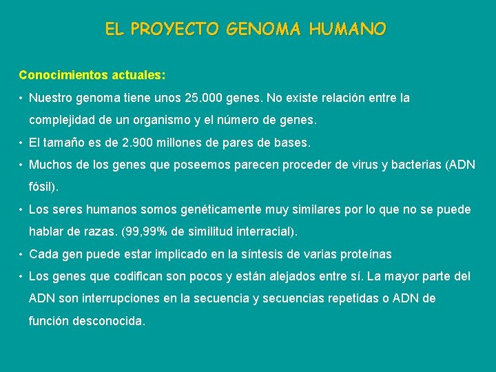 EL PROYECTO GENOMA HUMANO Conocimientos actuales: • Nuestro genoma tiene unos 25. 000 genes.