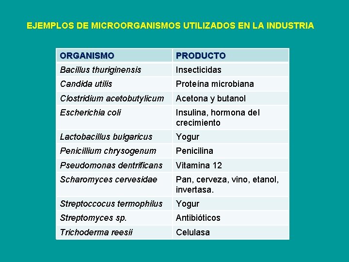 EJEMPLOS DE MICROORGANISMOS UTILIZADOS EN LA INDUSTRIA ORGANISMO PRODUCTO Bacillus thuriginensis Insecticidas Candida utilis