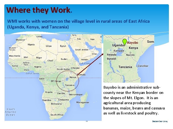 Where they Work WMI works with women on the village level in rural areas