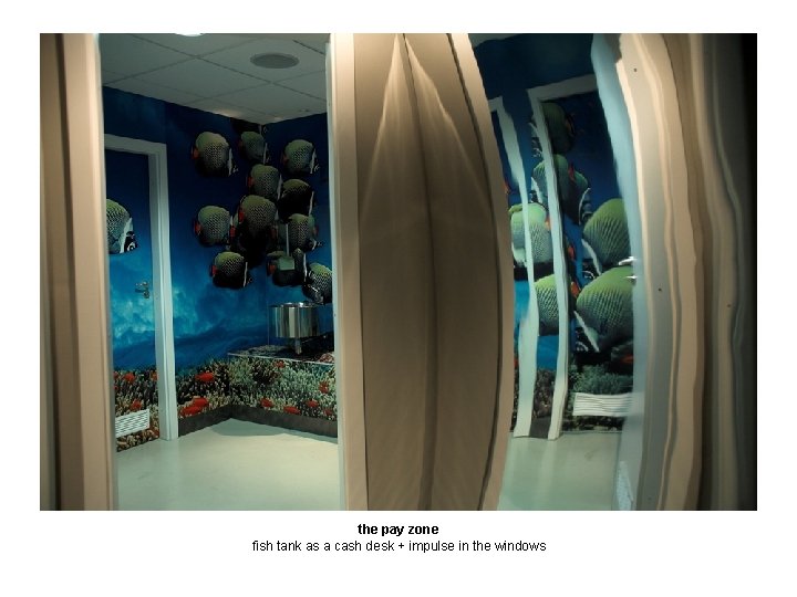 the pay zone fish tank as a cash desk + impulse in the windows