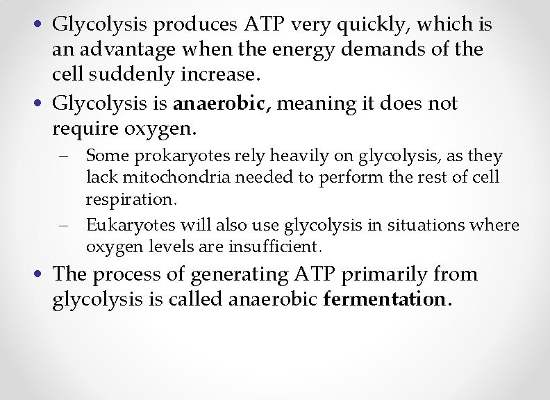  • Glycolysis produces ATP very quickly, which is an advantage when the energy