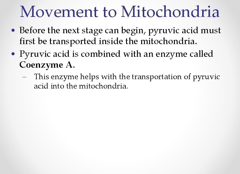 Movement to Mitochondria • Before the next stage can begin, pyruvic acid must first