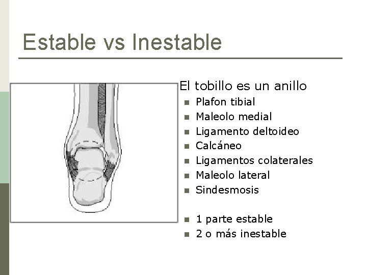 Estable vs Inestable p El tobillo es un anillo n n n n n