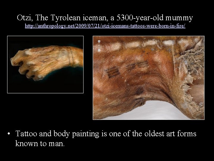 Otzi, The Tyrolean iceman, a 5300 -year-old mummy http: //anthropology. net/2009/07/21/otzi-icemans-tattoos-were-born-in-fire/ • Tattoo and