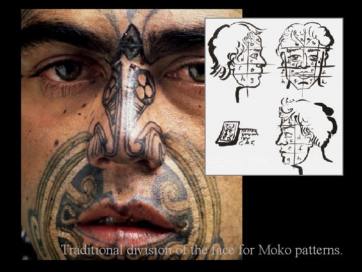 Traditional division of the face for Moko patterns. 