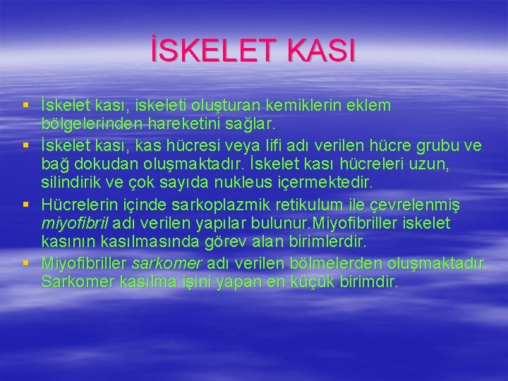 İSKELET KASI § İskelet kası, iskeleti oluşturan kemiklerin eklem bölgelerinden hareketini sağlar. § İskelet