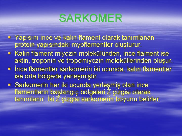 SARKOMER § Yapısını ince ve kalın flament olarak tanımlanan protein yapısındaki myoflamentler oluşturur. §