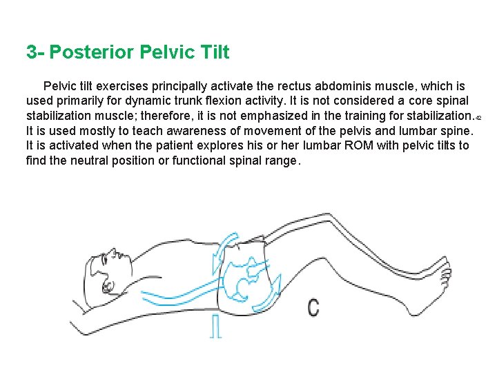 3 - Posterior Pelvic Tilt Pelvic tilt exercises principally activate the rectus abdominis muscle,
